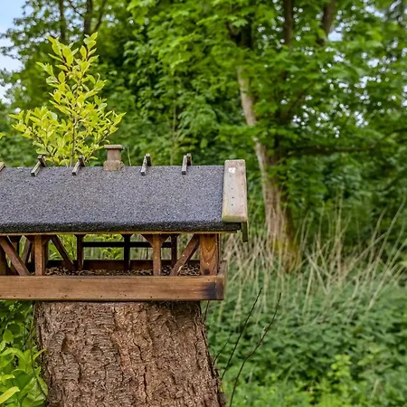 Asulf - 31km From The Sea By Interhome * Toftlund